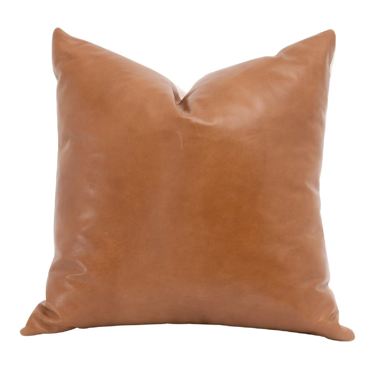 Modern European furniture - Brown Leather Pillows (2) - www.oroa.com