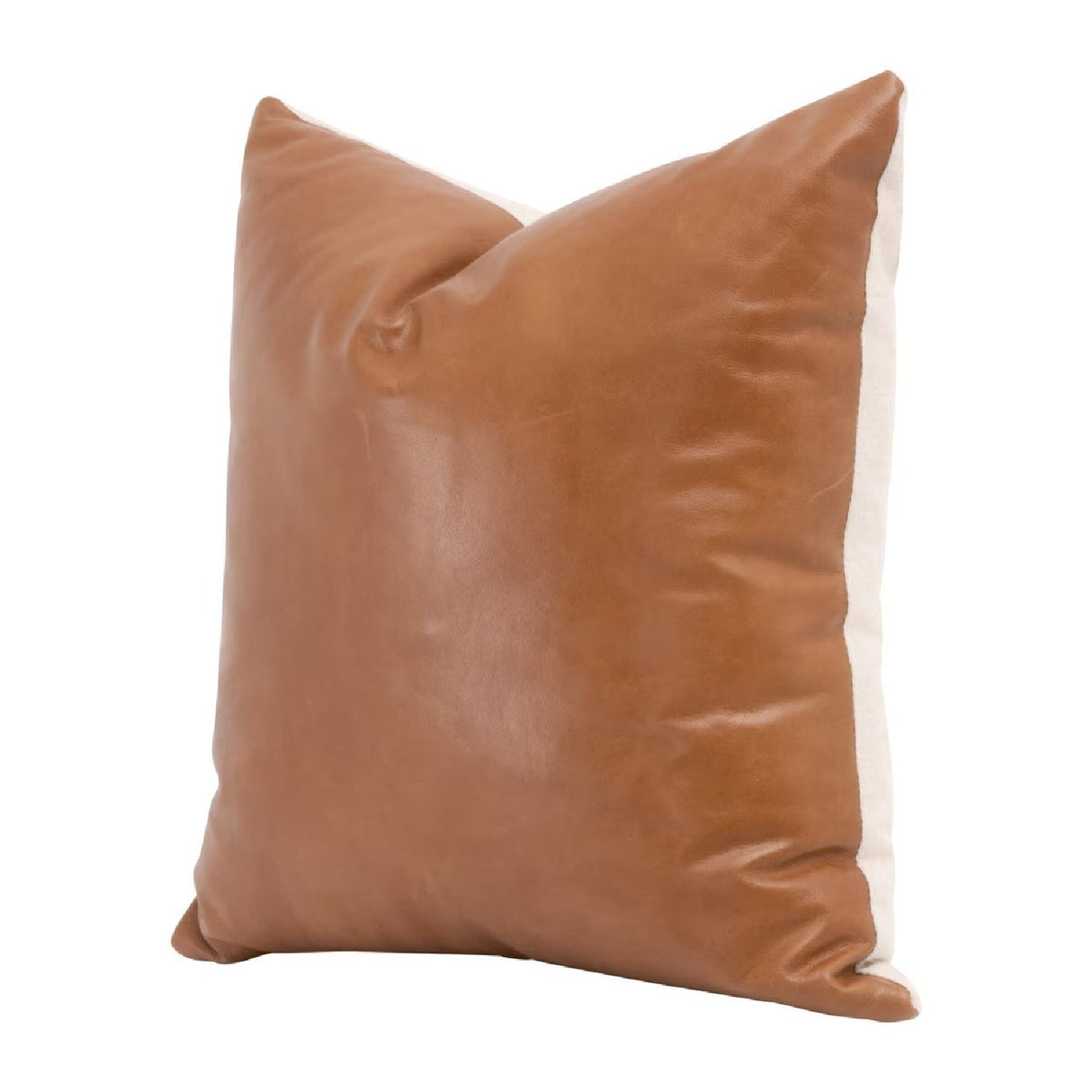 Modern European furniture - Brown Leather Pillows (2) - www.oroa.com