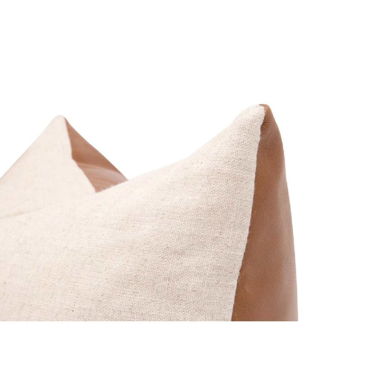 Modern European furniture - Brown Leather Pillows (2) - www.oroa.com