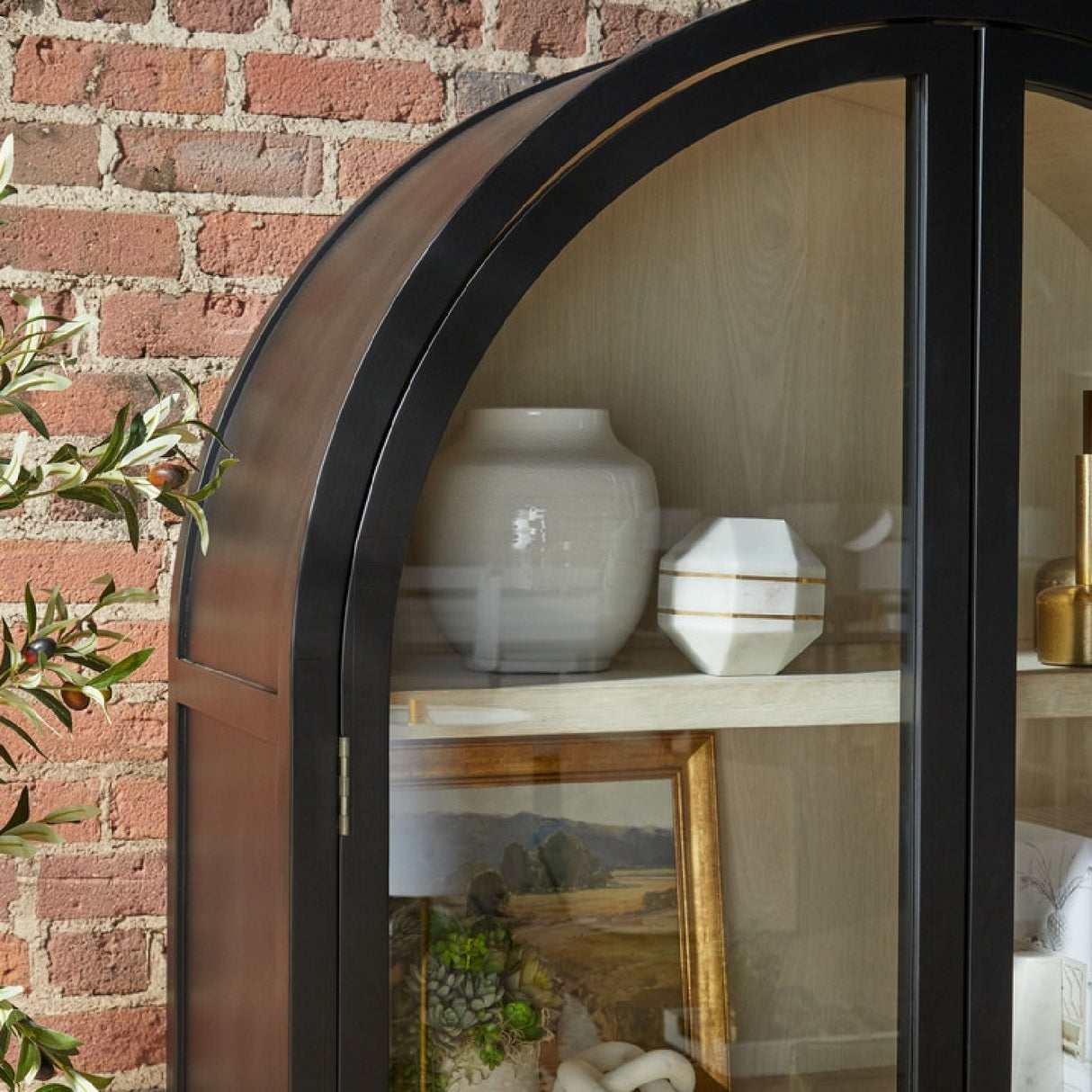 Black Birch Arched Display Cabinet | Oroa.com