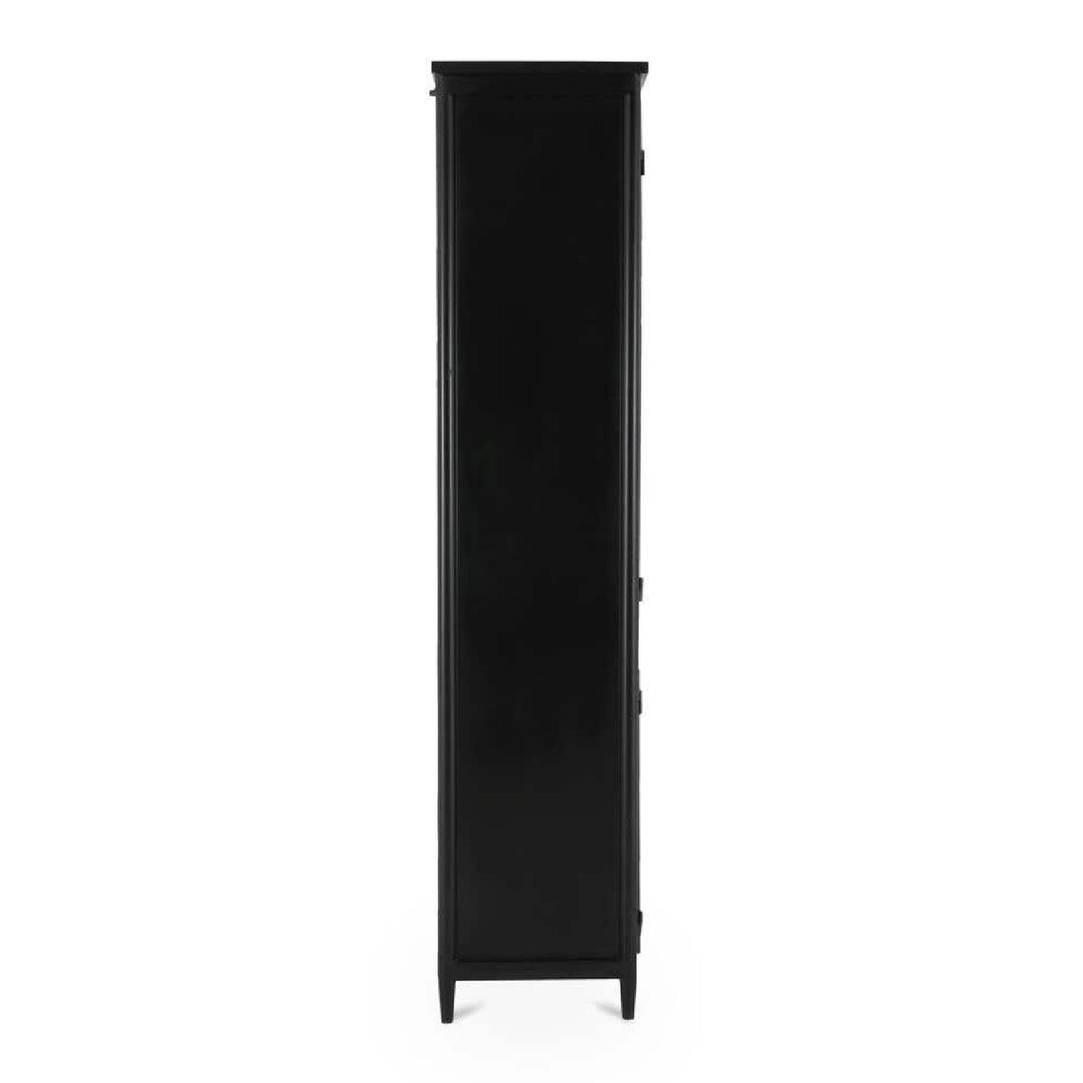 Modern or European furniture - Black Metal 4-Door Tall Cabinet - www.oroa.com