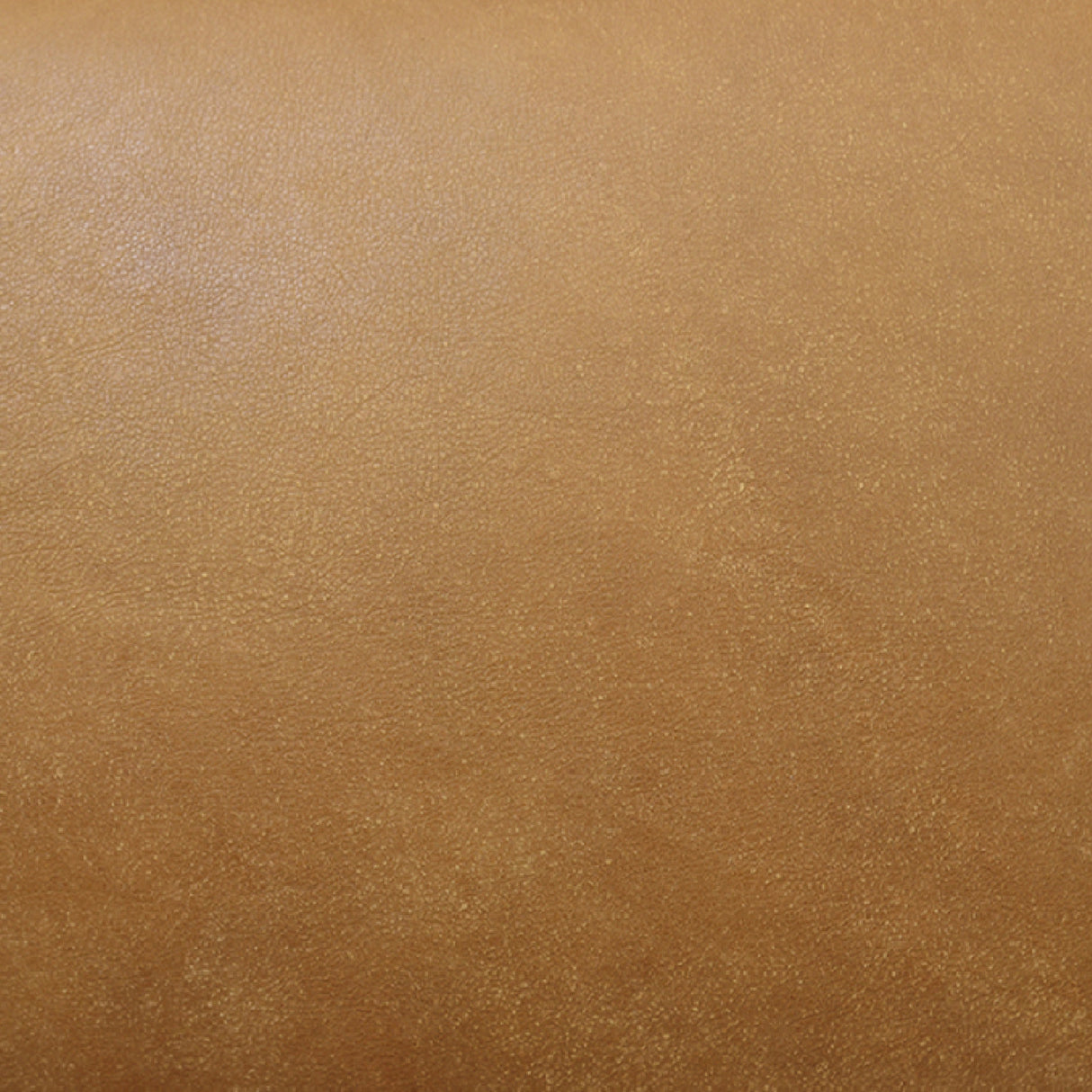 Modern European furniture - Walnut Framed Leather Accent Chair - www.oroa.com