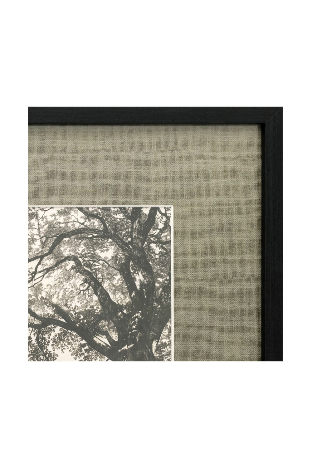 Modern European furniture - Monochromatic Tree Framed Print - www.oroa.com