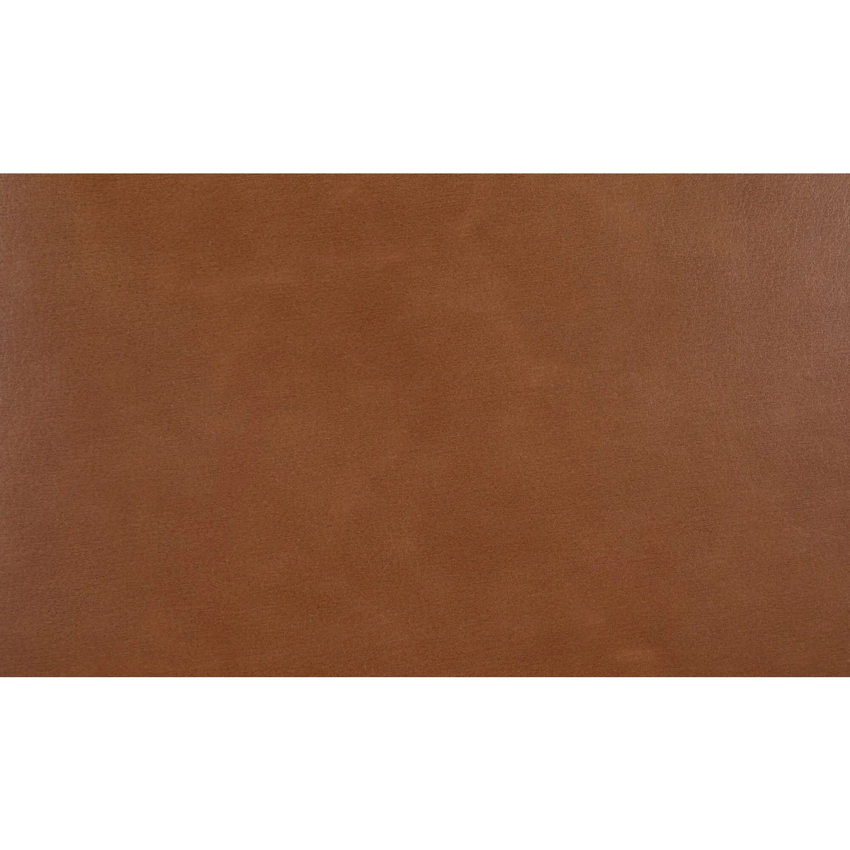 Modern European furniture - Brown Leather Dining Chair - www.oroa.com