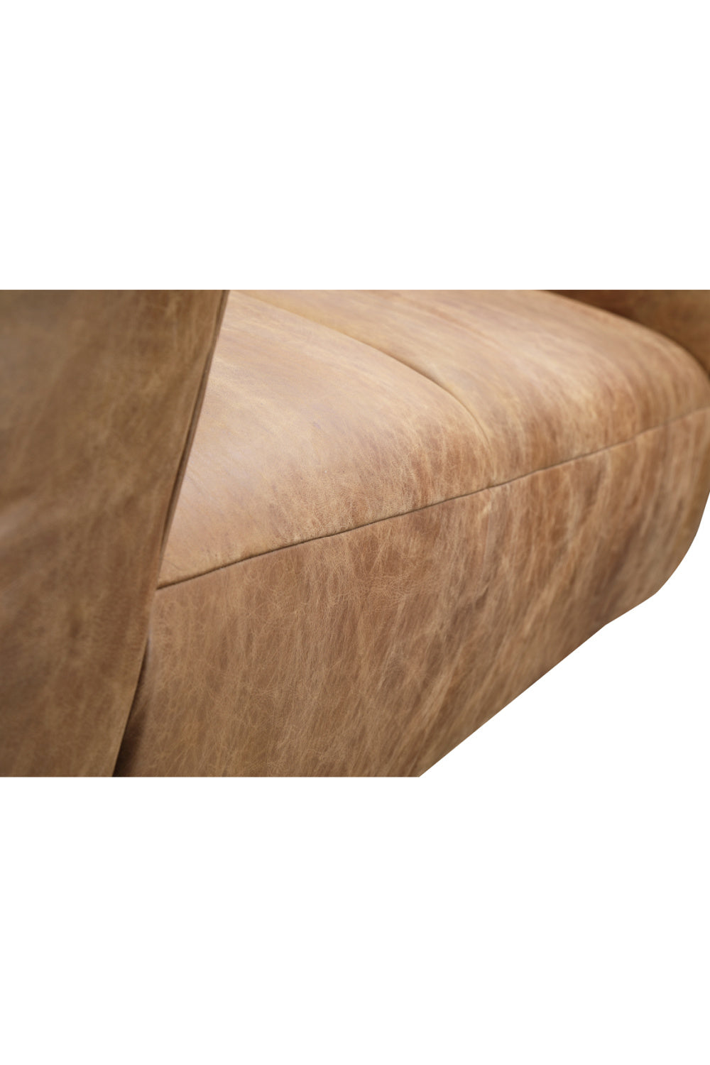 Modern European furniture - Brown Leather Sofa - www.oroa.com