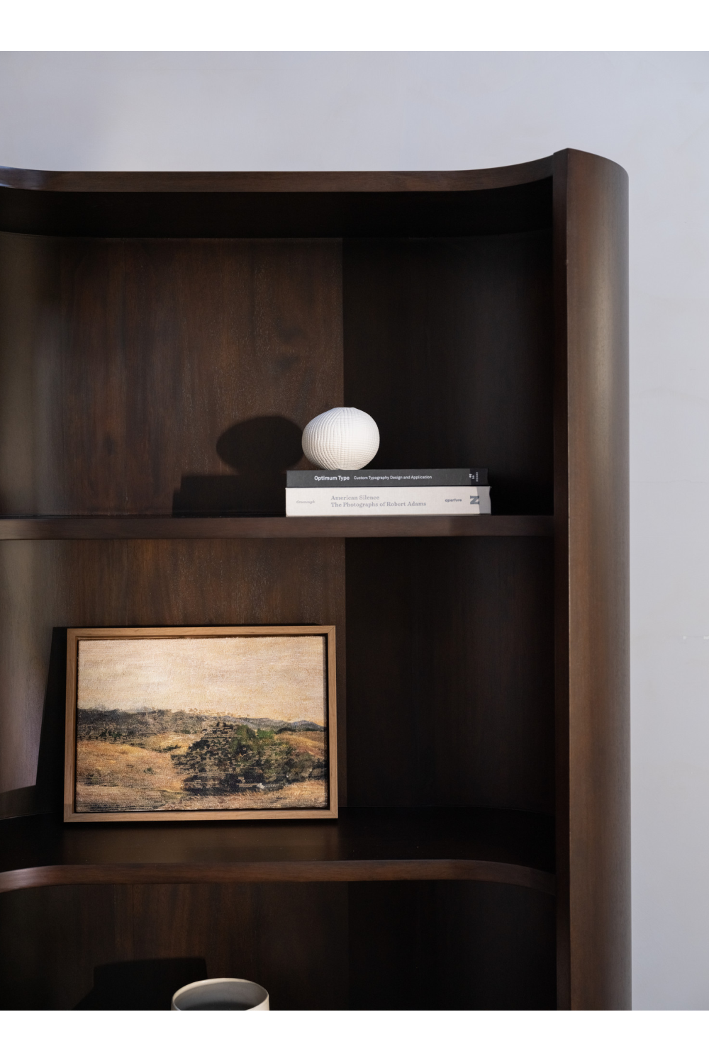 Modern European furniture - Solid Mahogany Bookcase - www.oroa.com