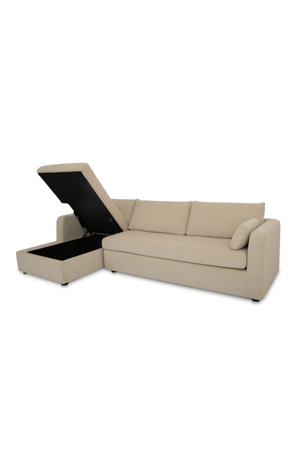 Modern European furniture - Sectional Sofa with Storage Chaise - www.oroa.com