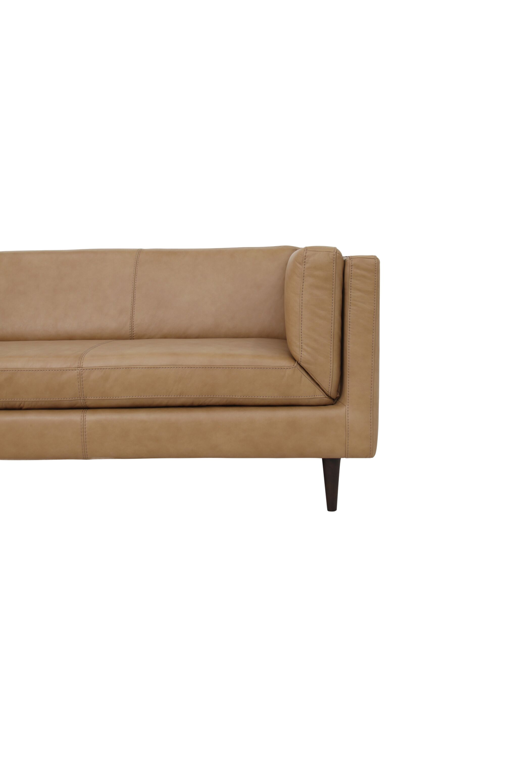 Modern European furniture - Top Grain Leather Sofa - www.oroa.com