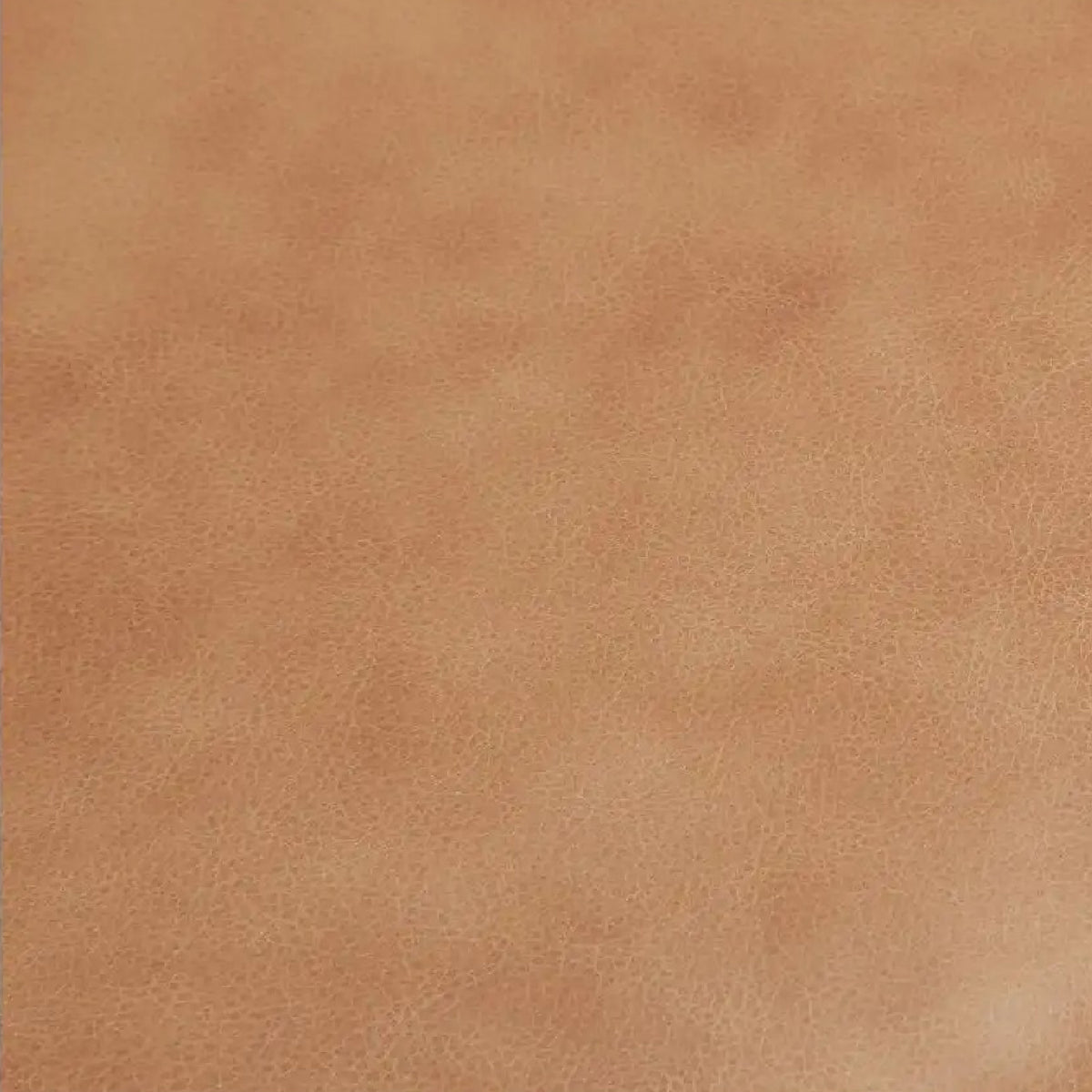 Leather Open-Back Dining Bench | Novi Living Martens