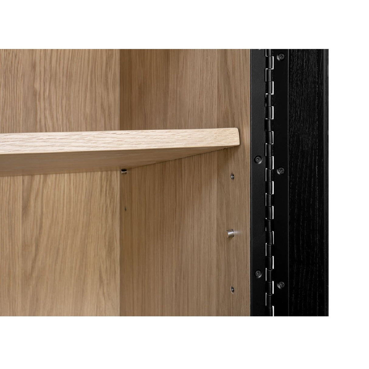 Modern European furniture - Black Solid Ash Tall Cabinet - www.oroa.com