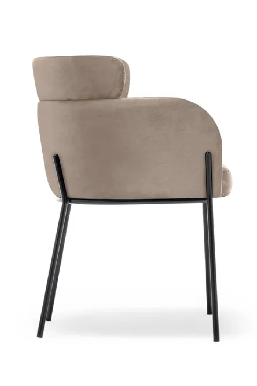 Layered Curve Back Dining Chair | NV Gallery Baron | Oroa.com
