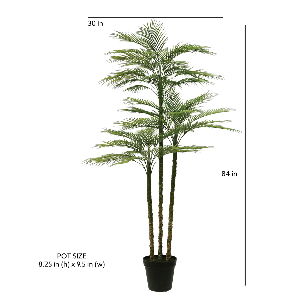 Everlasting Palm Tree - OROA