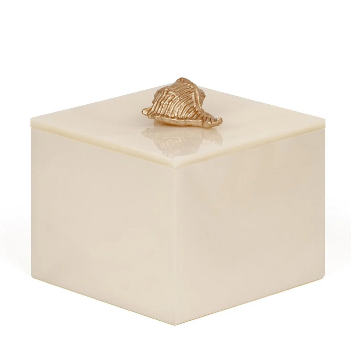 Shell Handle Cotton Pad Holder | Pinetti Bea | OROA.com