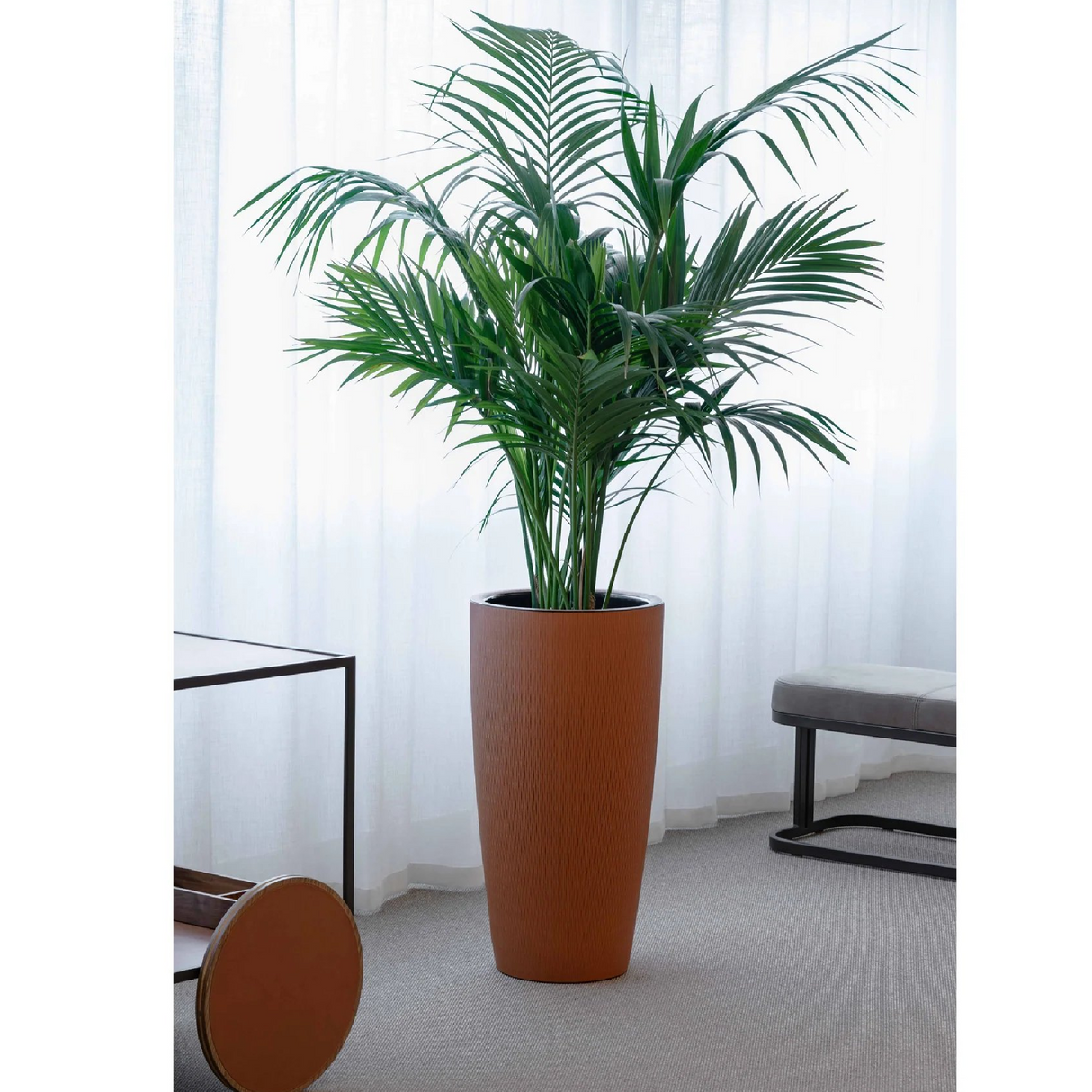Leather Covered Plant Pot | Pinetti Silvy | OROA.com