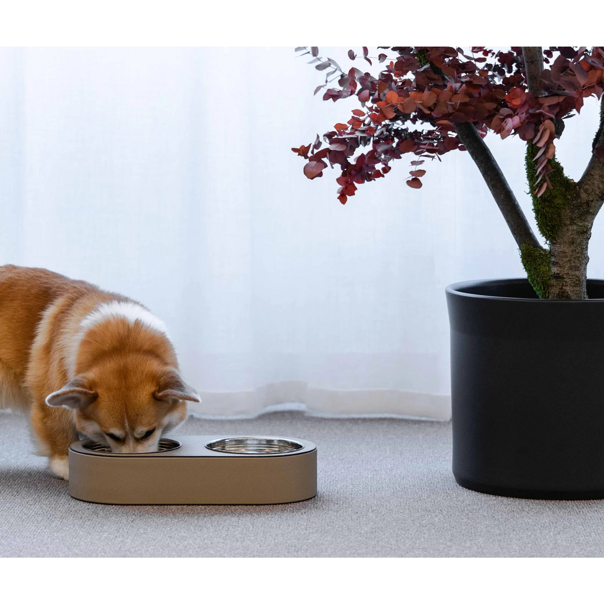 Leather Covered Pet Bowl | Pinetti | OROA.com
