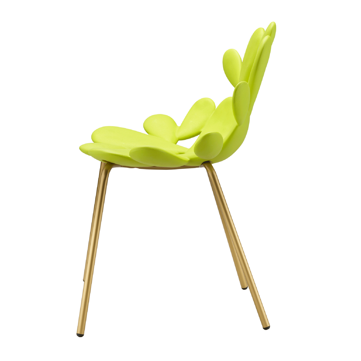 Cactus Design Indoor/Outdoor Dining Chair Set (2) | Qeeboo Filicudi | OROA.com