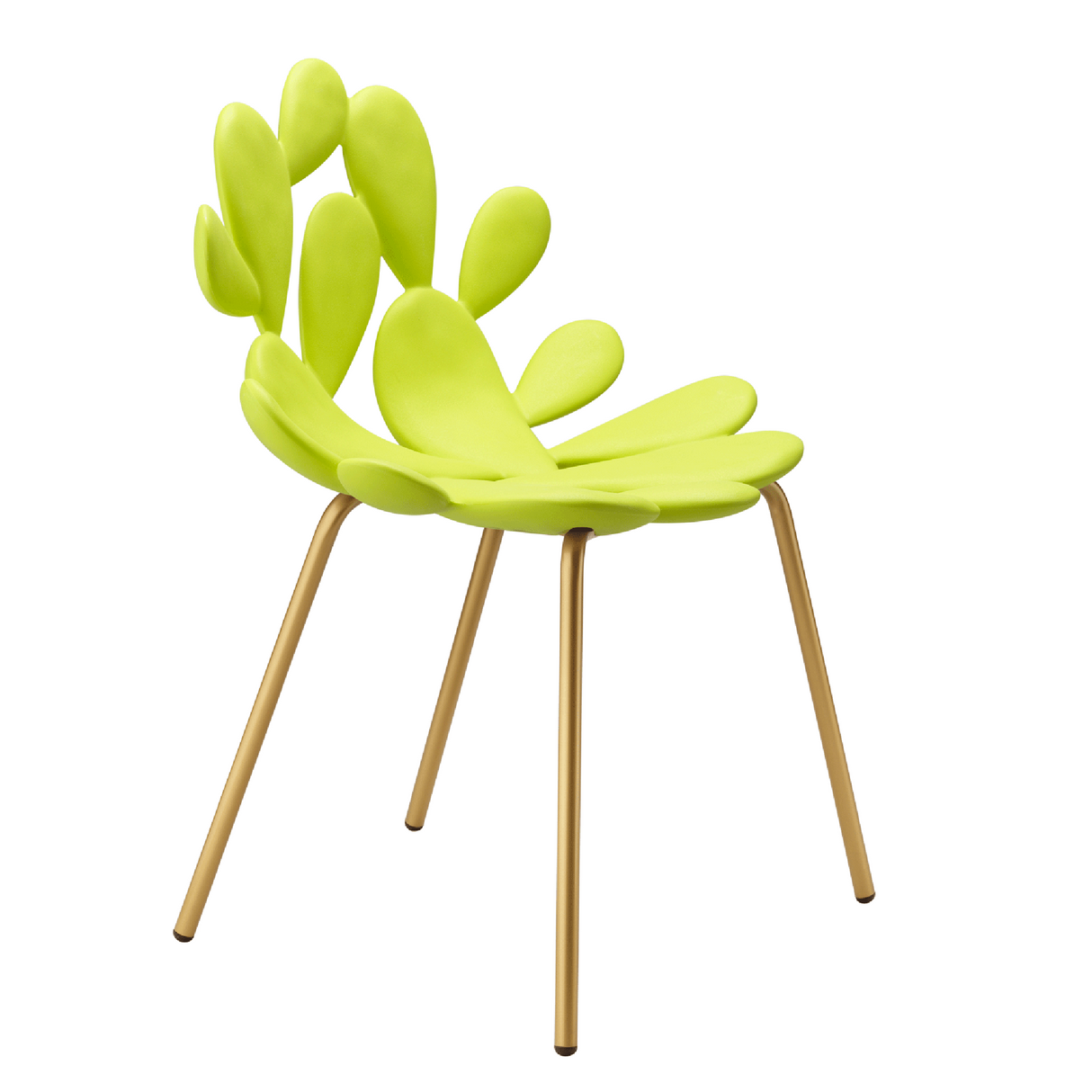 Cactus Design Indoor/Outdoor Dining Chair Set (2) | Qeeboo Filicudi | OROA.com