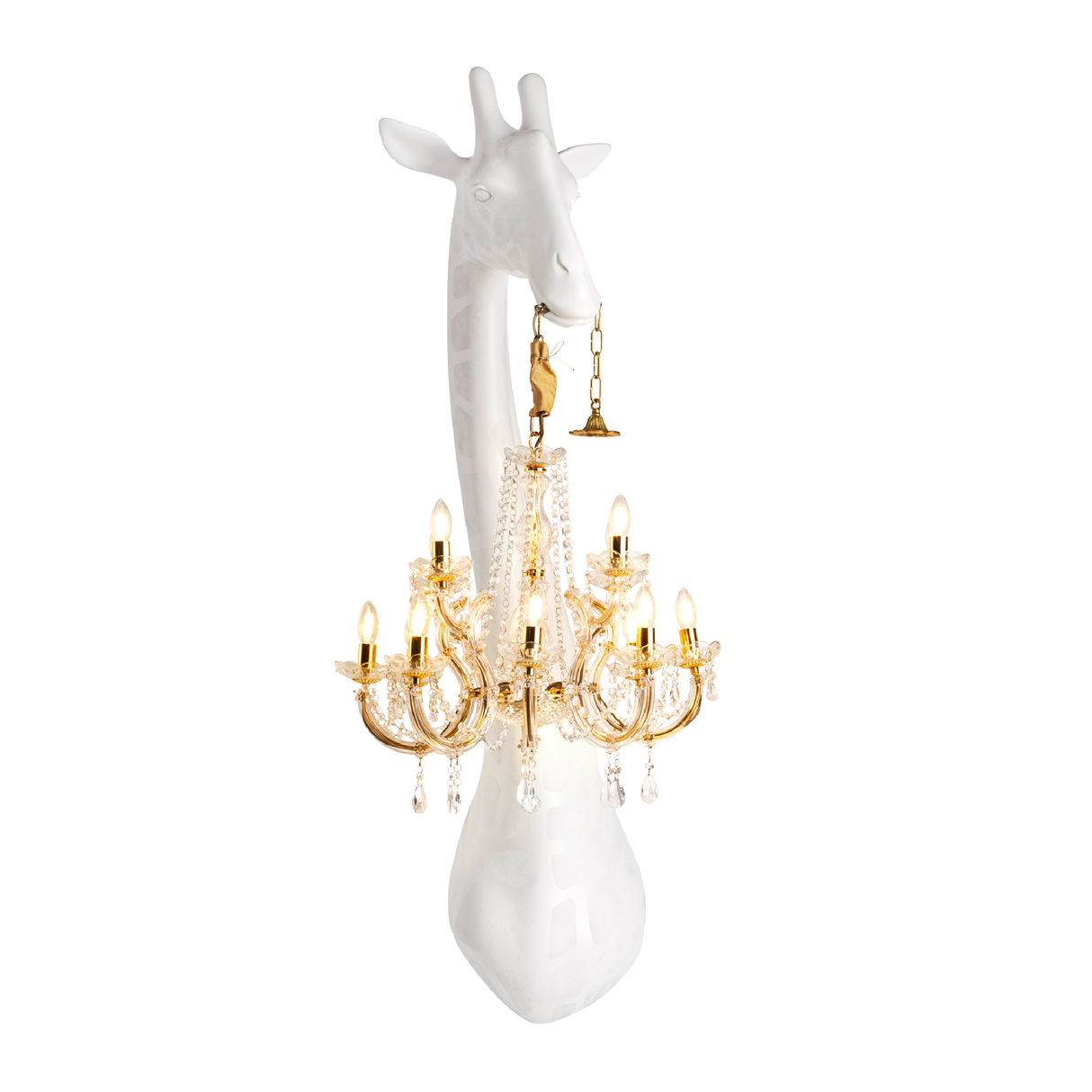 Animal Head Wall Lamp | Oroa.com