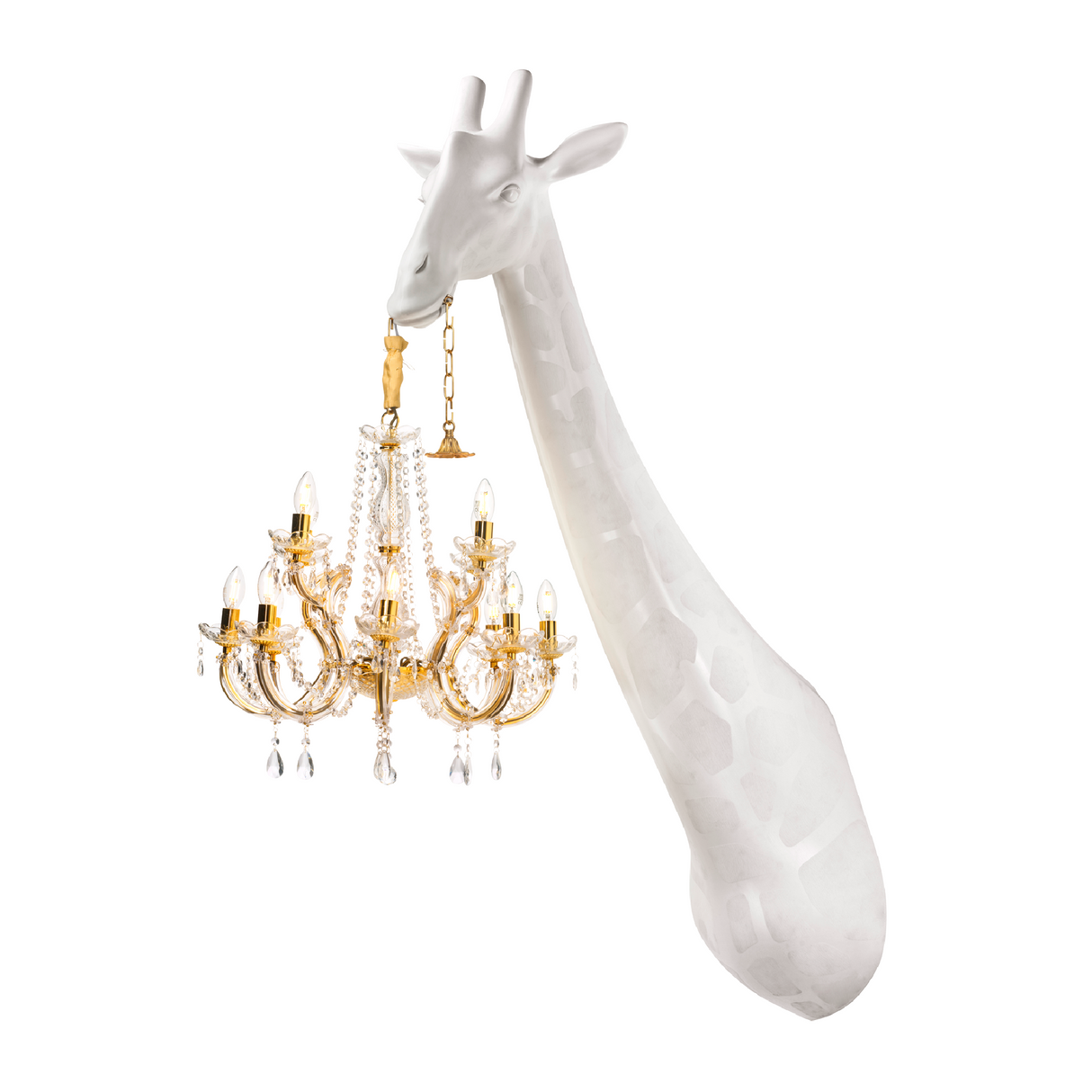 Animal Head Wall Lamp | Oroa.com