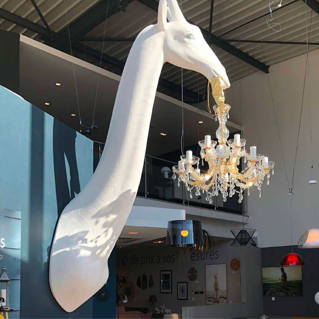 Animal Head Wall Lamp | Oroa.com