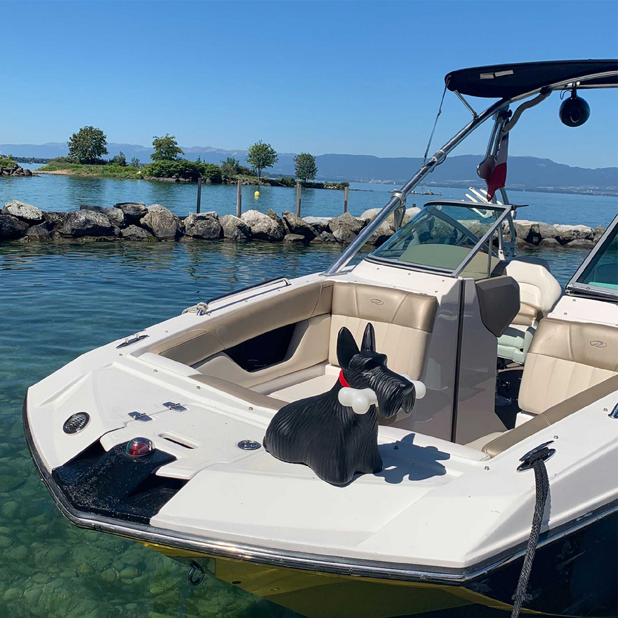 Decorative Dog Wireless Lamp | Qeeboo Scottie | OROA.com