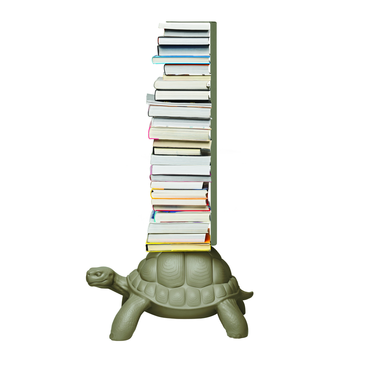 Modern Decorative Bookcase | Qeeboo Turtle Carry | OROA.com