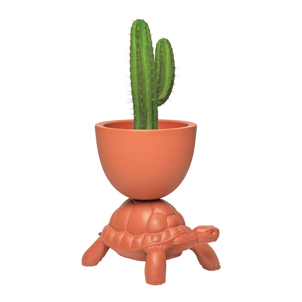 Modern Decorative Planter | Qeeboo Turtle Carry | OROA.com