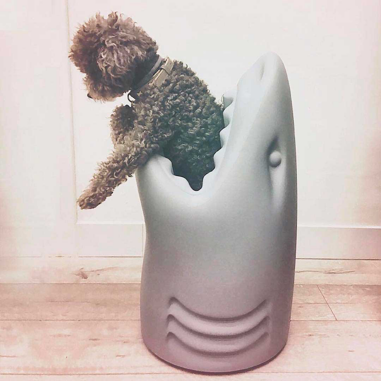 Shark-Shaped Multipurpose Holder | Oroa.com