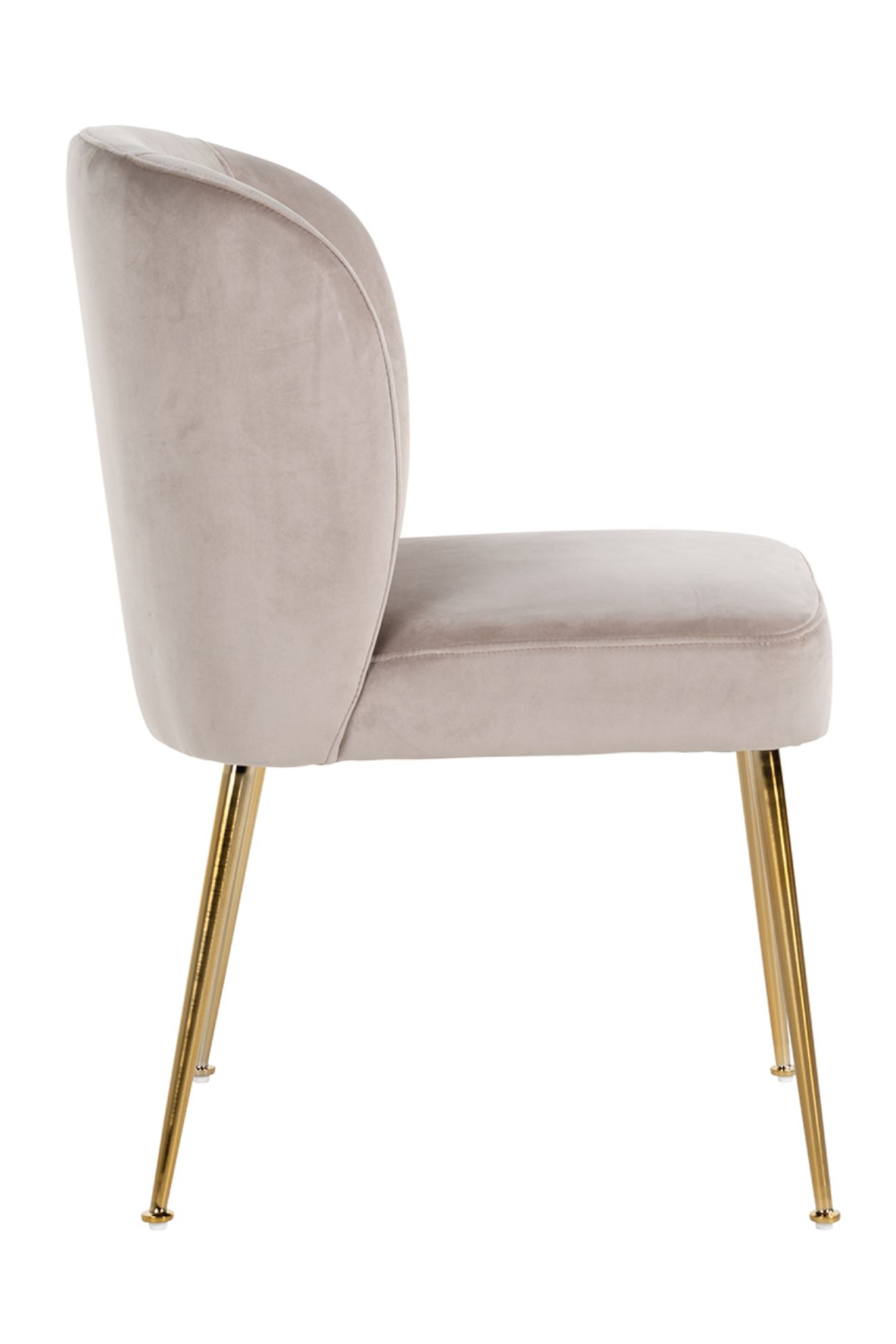 Curved Back Modern Dining Chair | Oroa.com