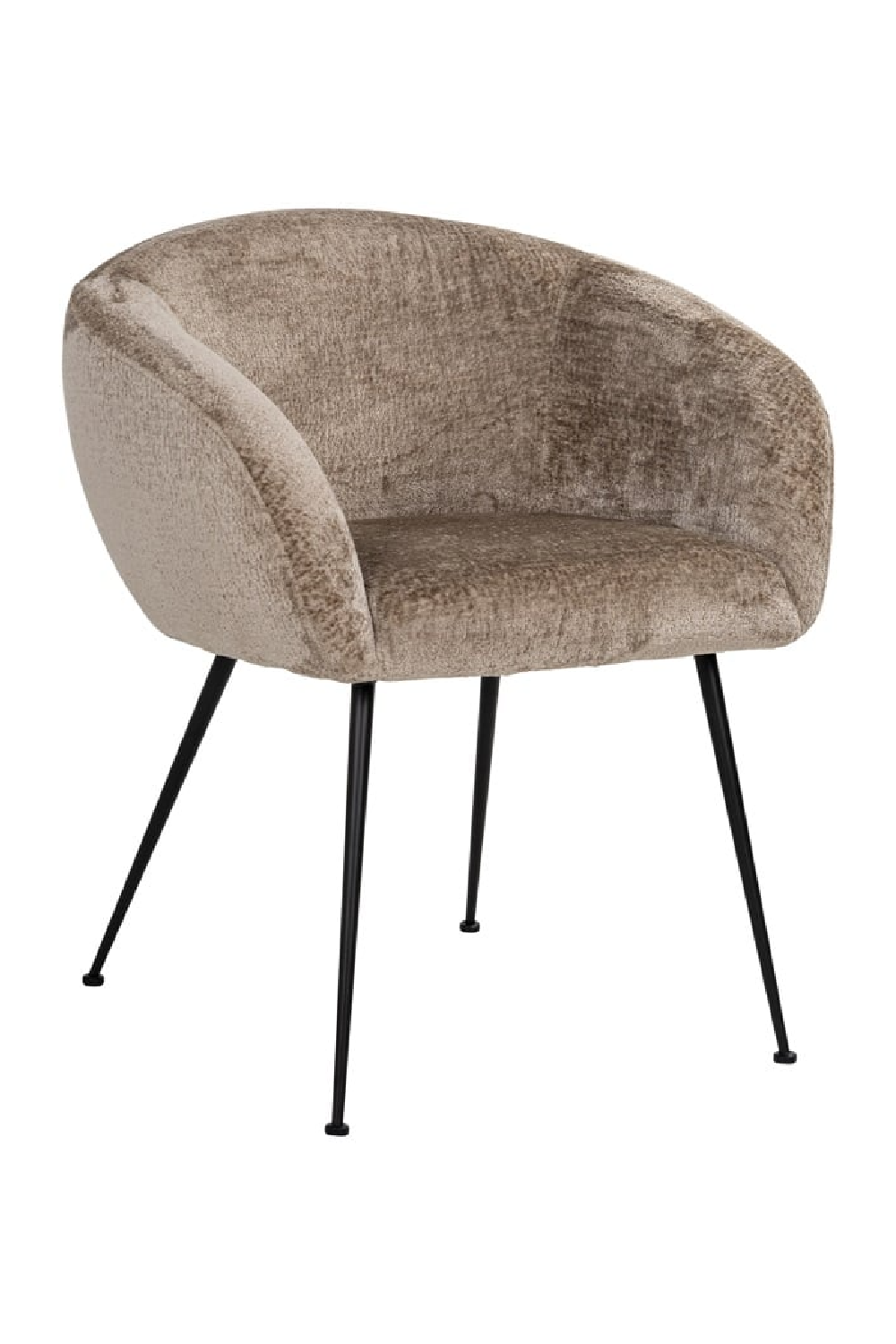 Curved Modern Dining Chair | Oroa.com