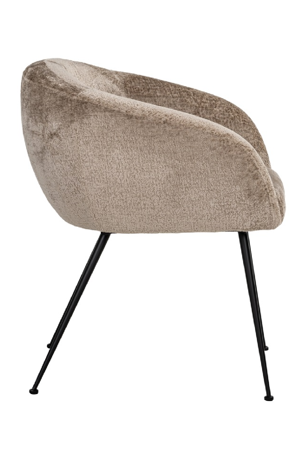Curved Modern Dining Chair | Oroa.com
