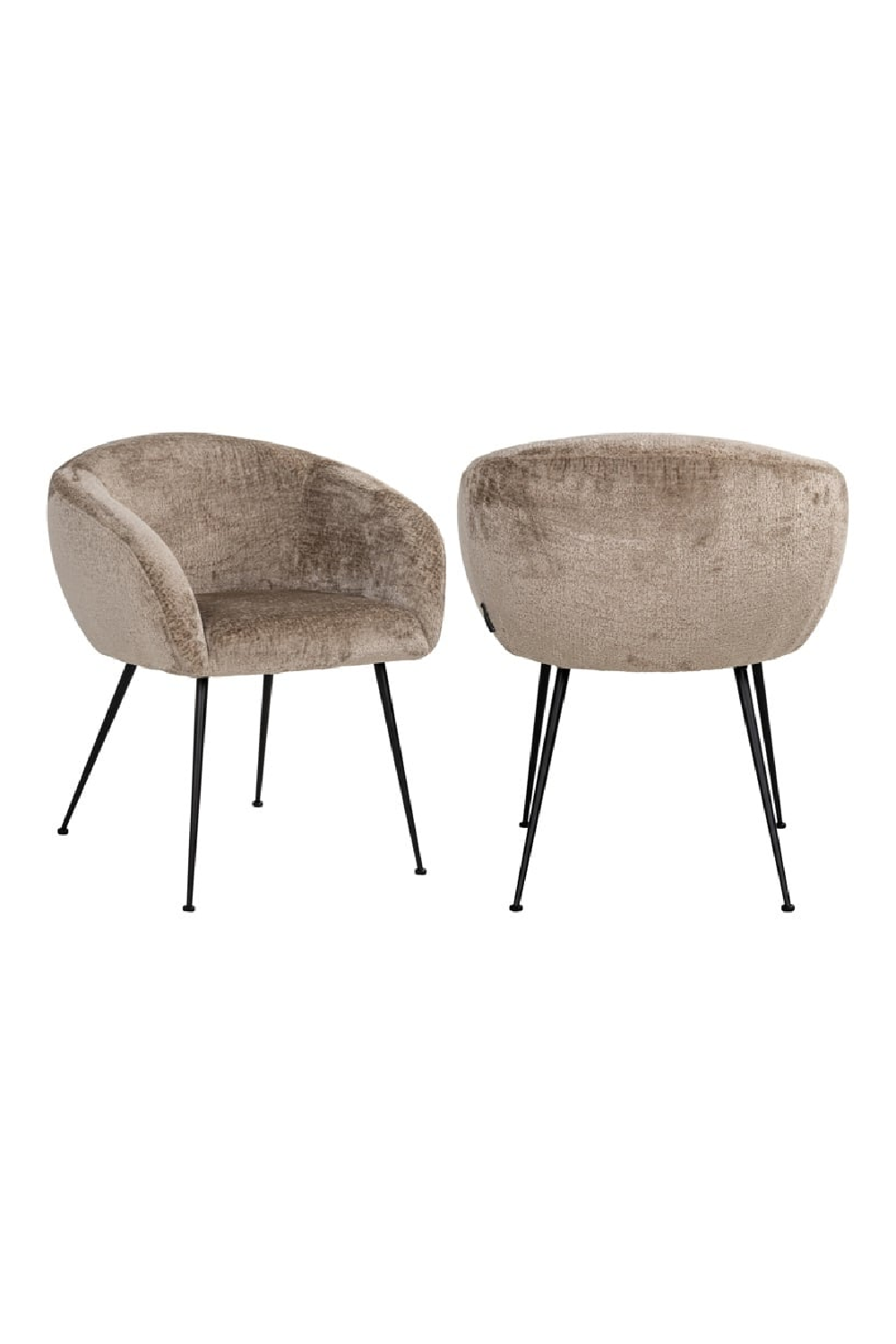 Curved Modern Dining Chair | Oroa.com