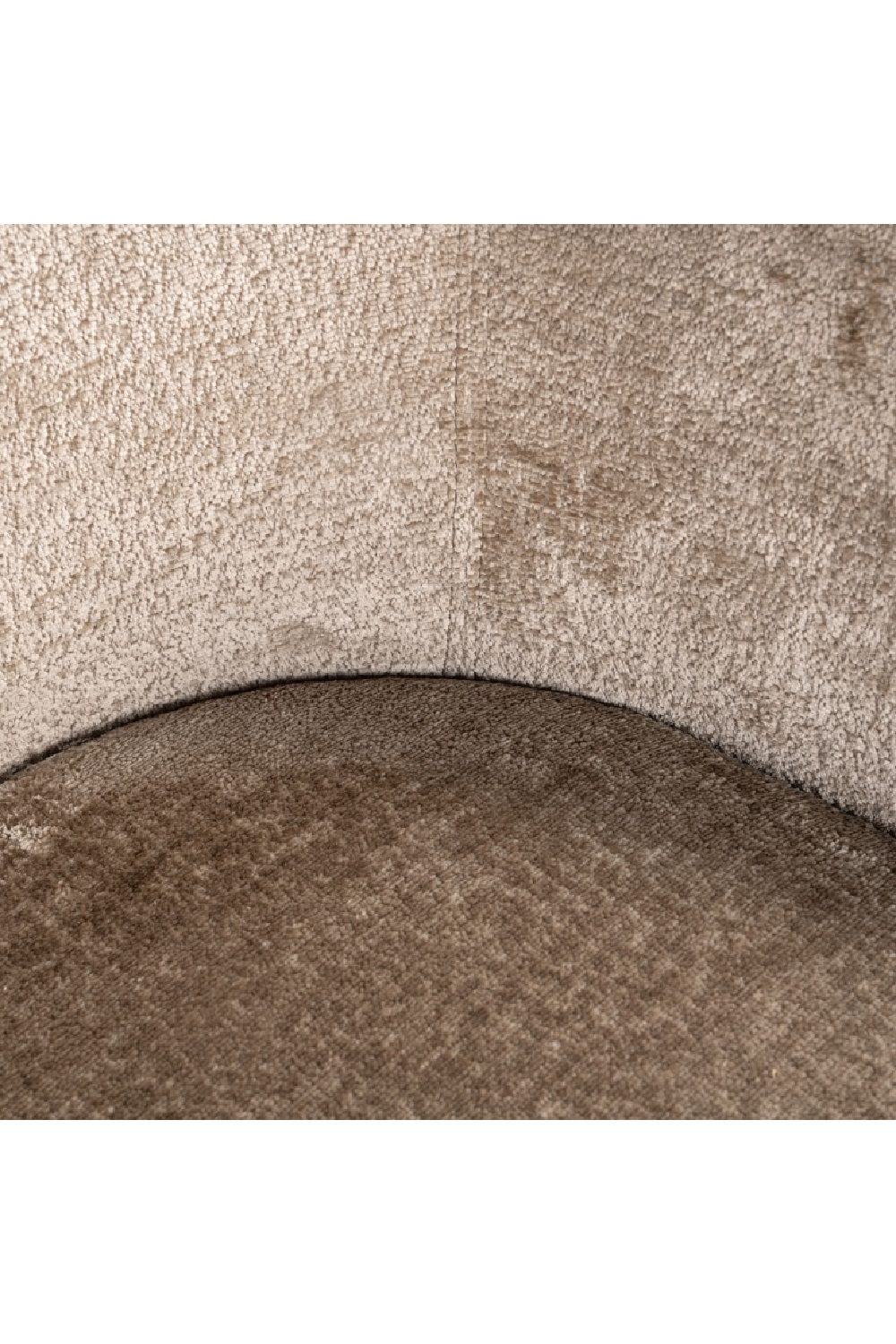 Curved Modern Dining Chair | Oroa.com