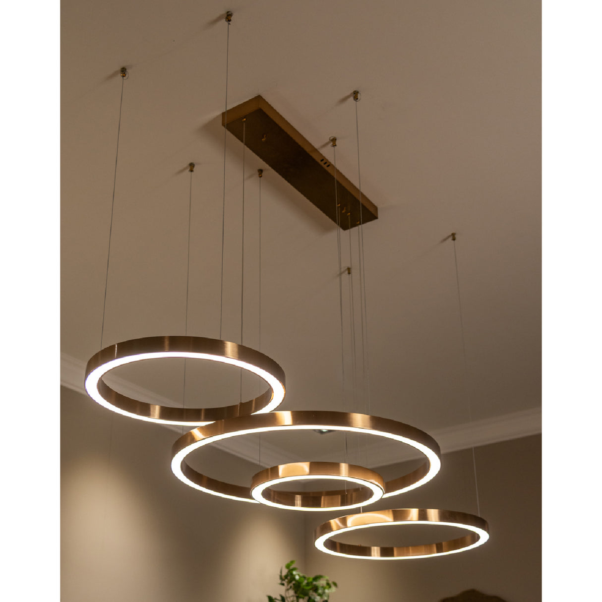 Modern European furniture - Gold Ring Chandelier - www.oroa.com | Oroa.com