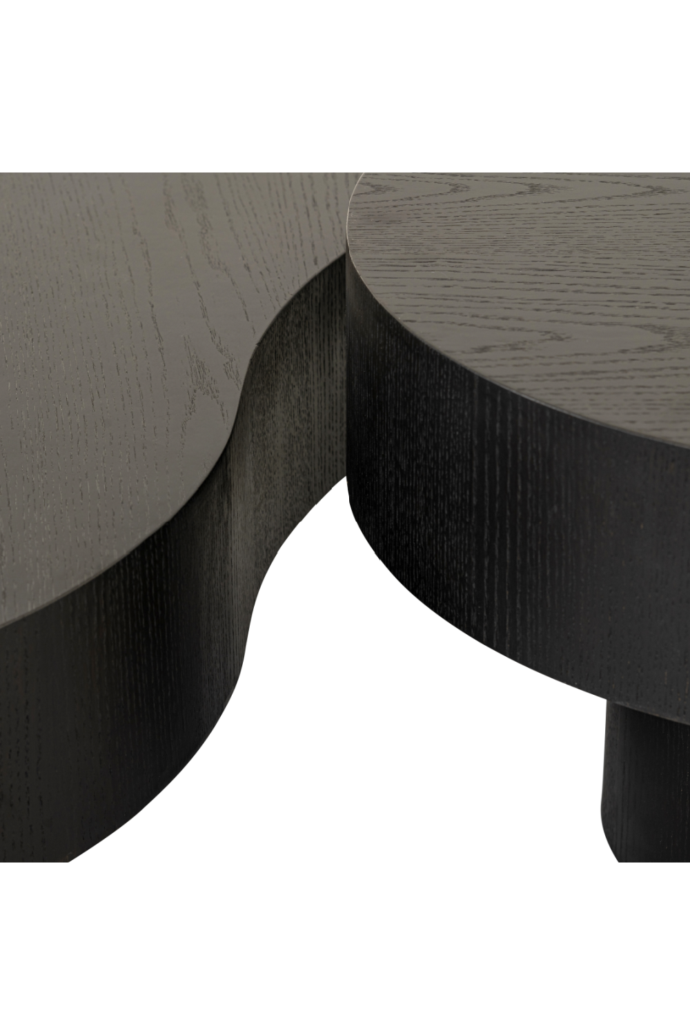Organic-Shaped Coffee Tables (2) | Oroa.com