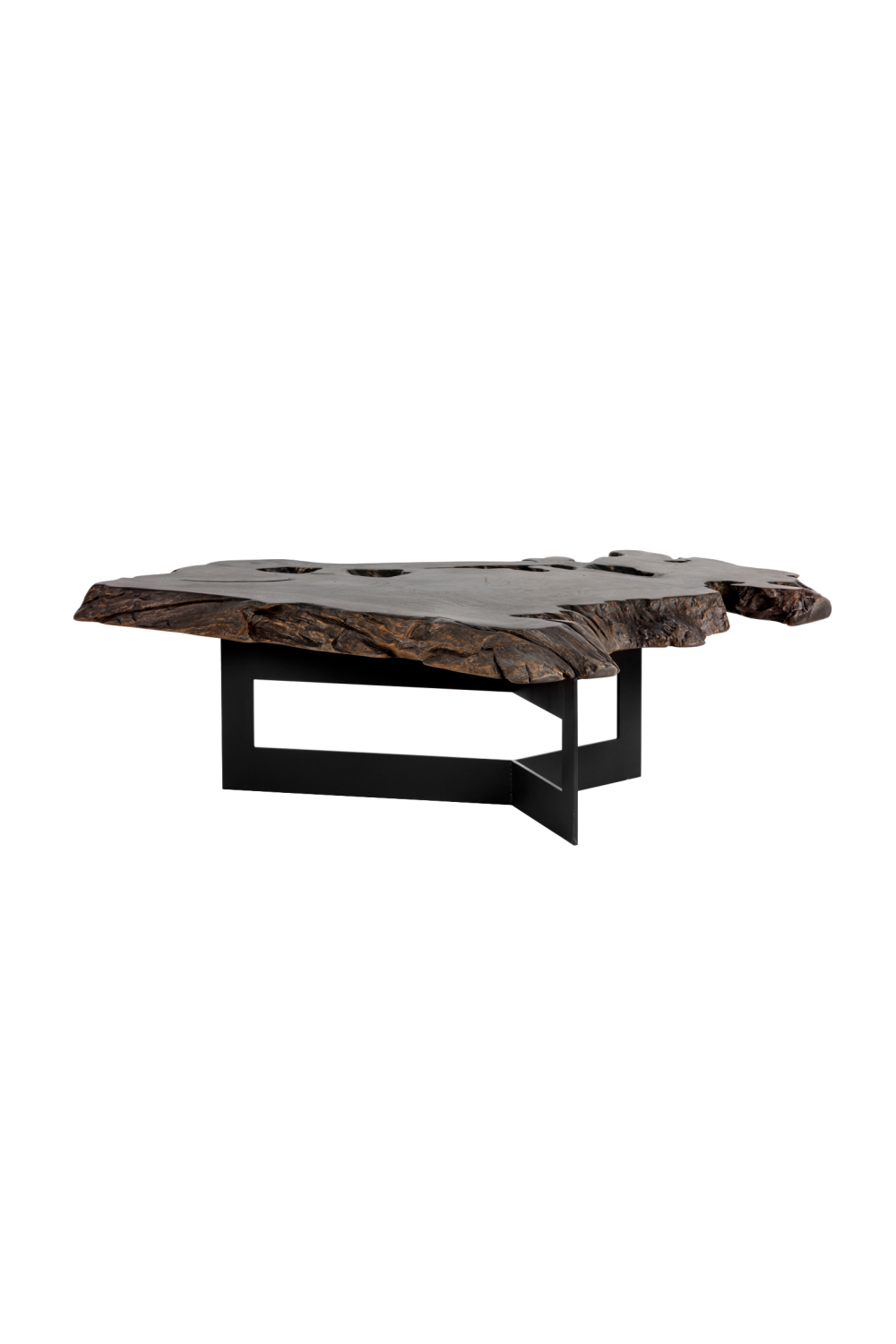 Black Teak Root Coffee Table by Splendido Wyatt