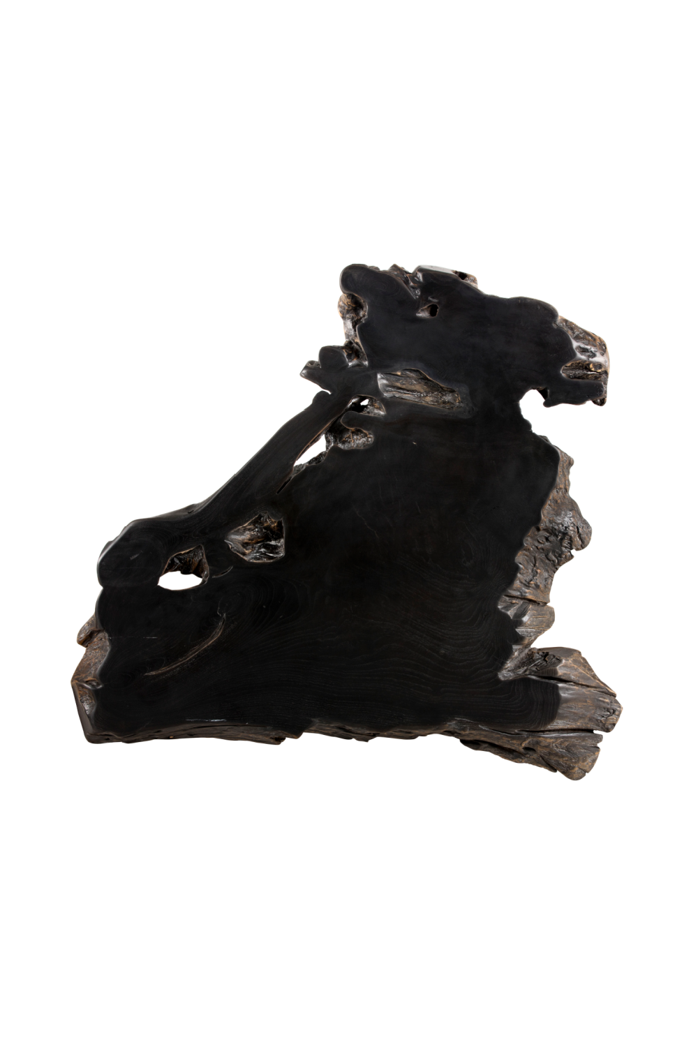 Black Teak Root Coffee Table by Splendido Wyatt, alternate view 5