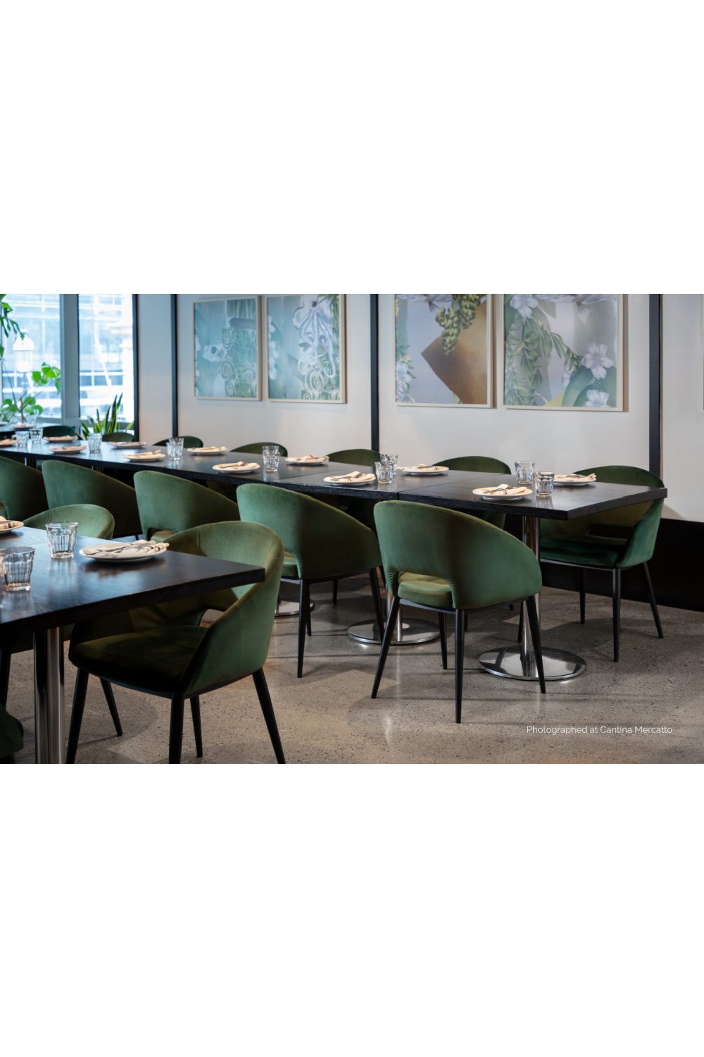 Cutout-Back Dining Amchair by Splendido Thatcher Dining Chair, alternate view 21