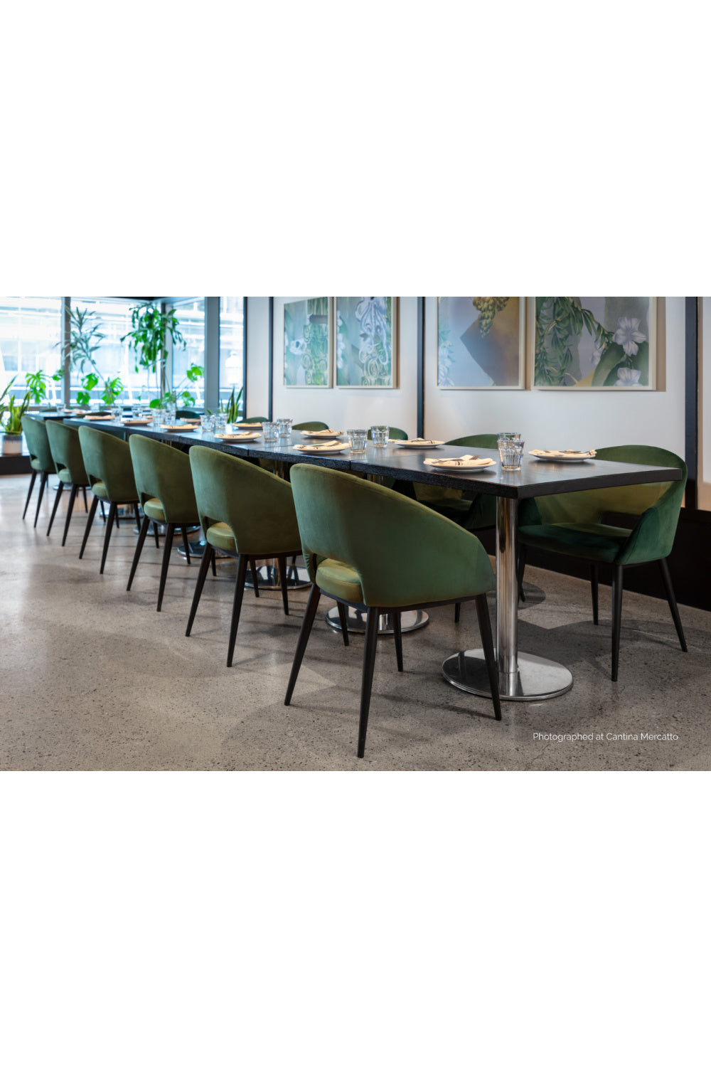 Cutout-Back Dining Amchair by Splendido Thatcher Dining Chair, alternate view 27