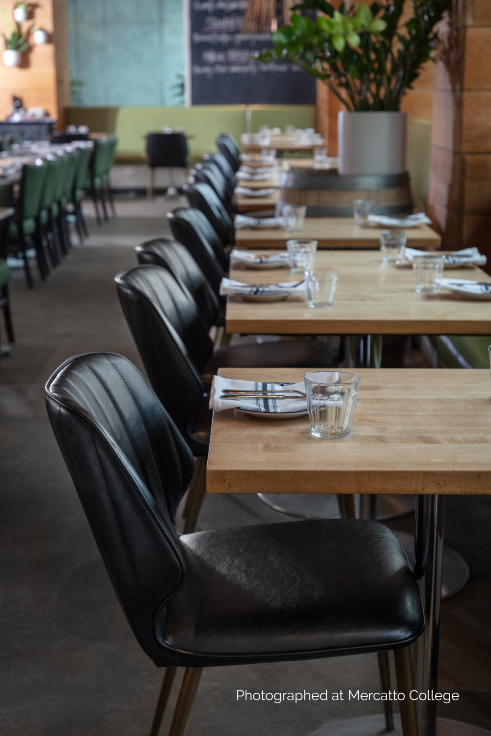 Modern European furniture - Channeled Leather Look Dining Chairs (2) - www.oroa.com