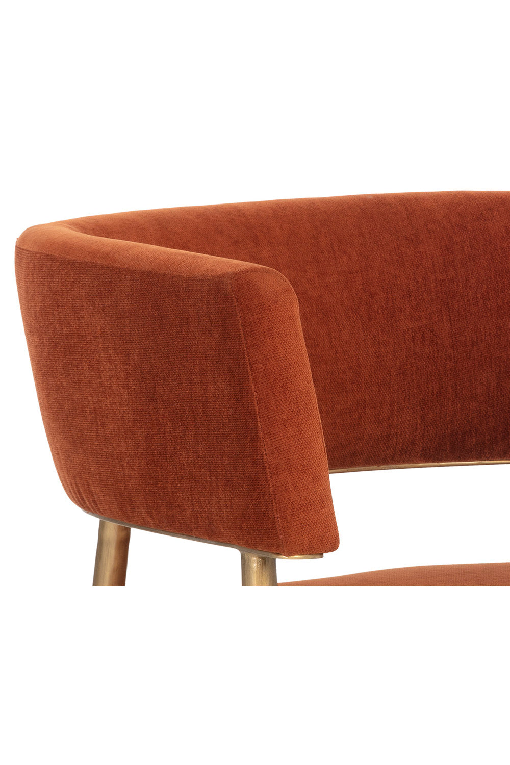 Antique Brass Legs Lounge Chair by Splendido Maestro Accent Chair, alternate view 15