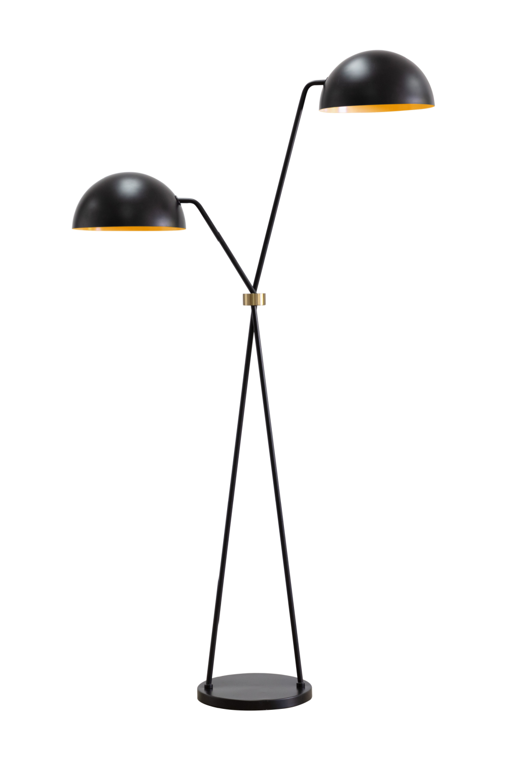 Black Dual-Domed Floor Lamp by Splendido Faven