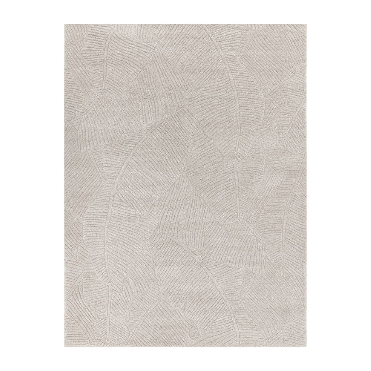 Contemporary Textured Area Rug | Splendido Calathea