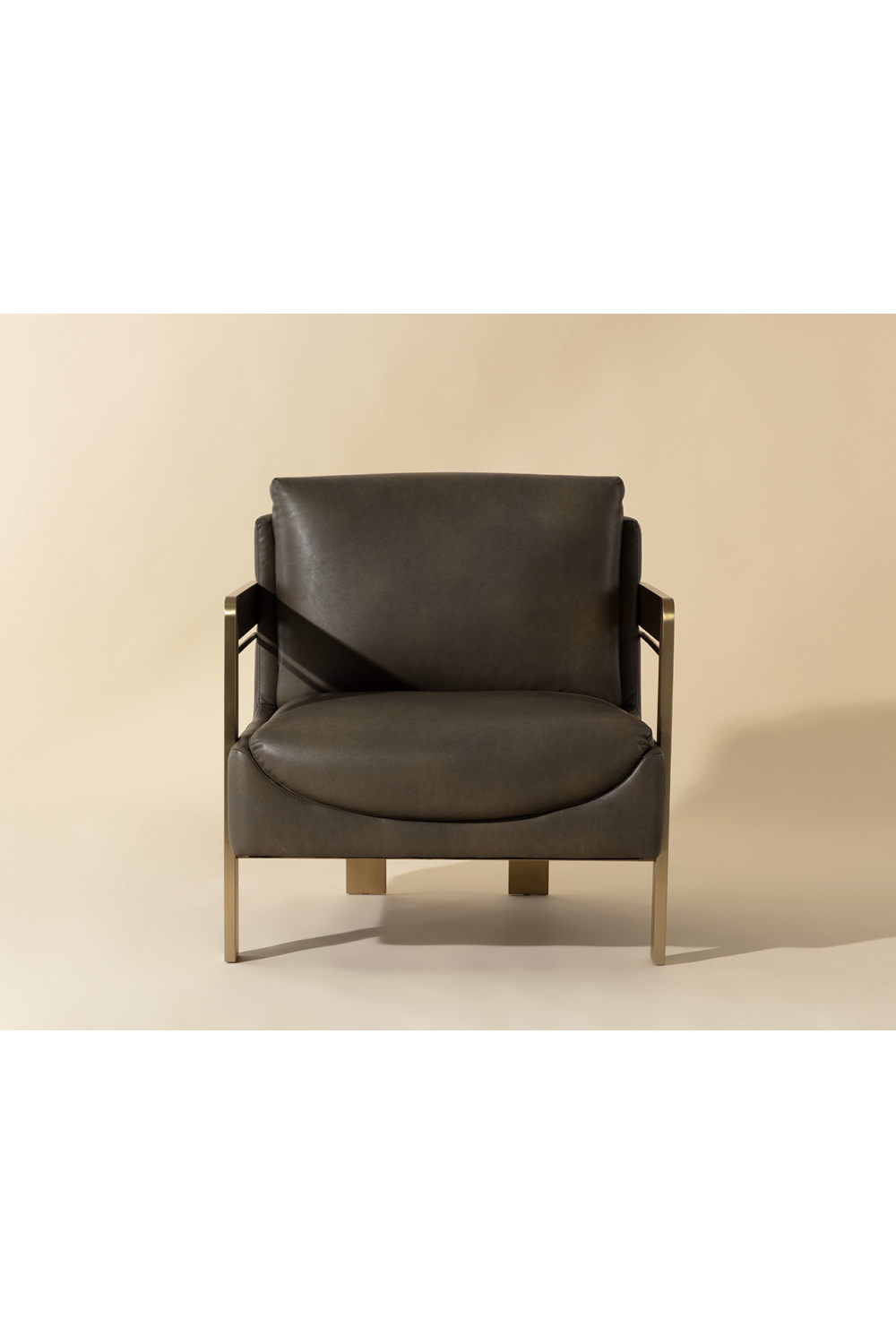 Modern European furniture - Taupe Leather Lounge Chair - www.oroa.com