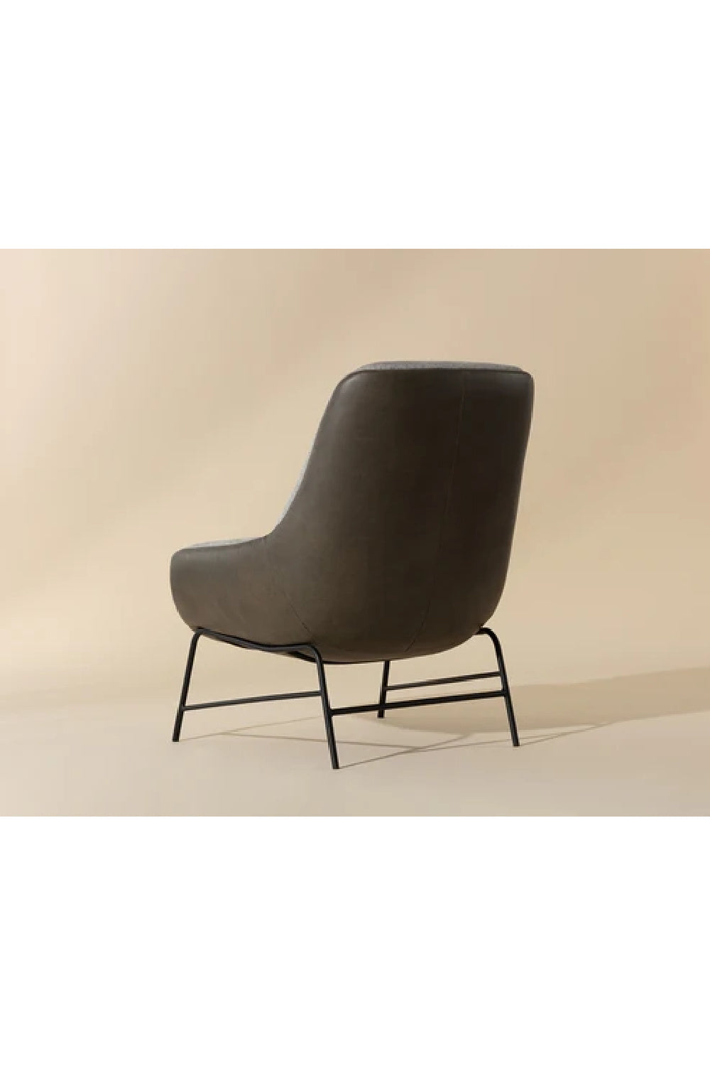 Leather Exterior Lounge Chair by Splendido Lucier Accent Chair, alternate view 25