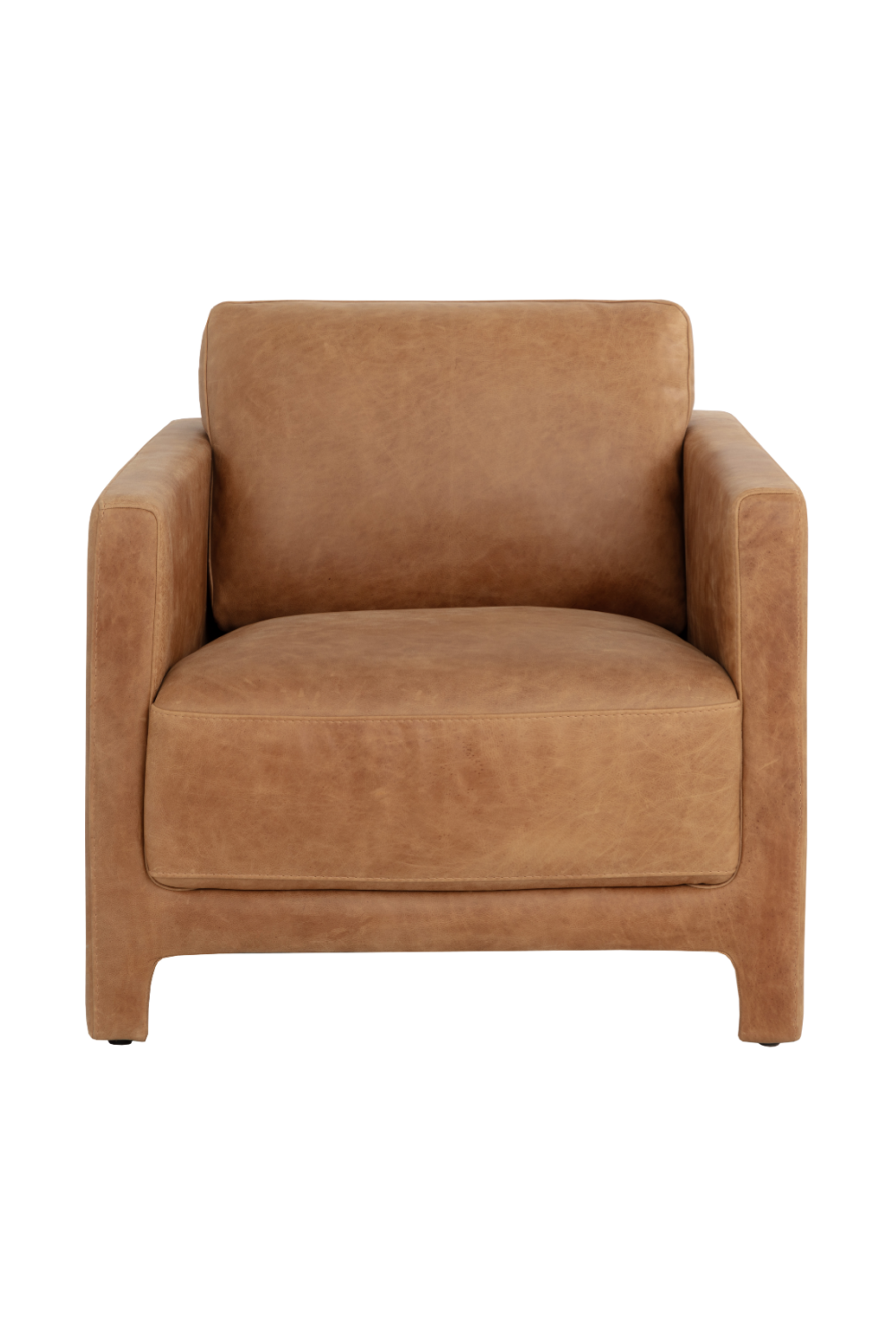 Bovine Leather Lounge Chair by Splendido Rodney Accent Chair, alternate view 3