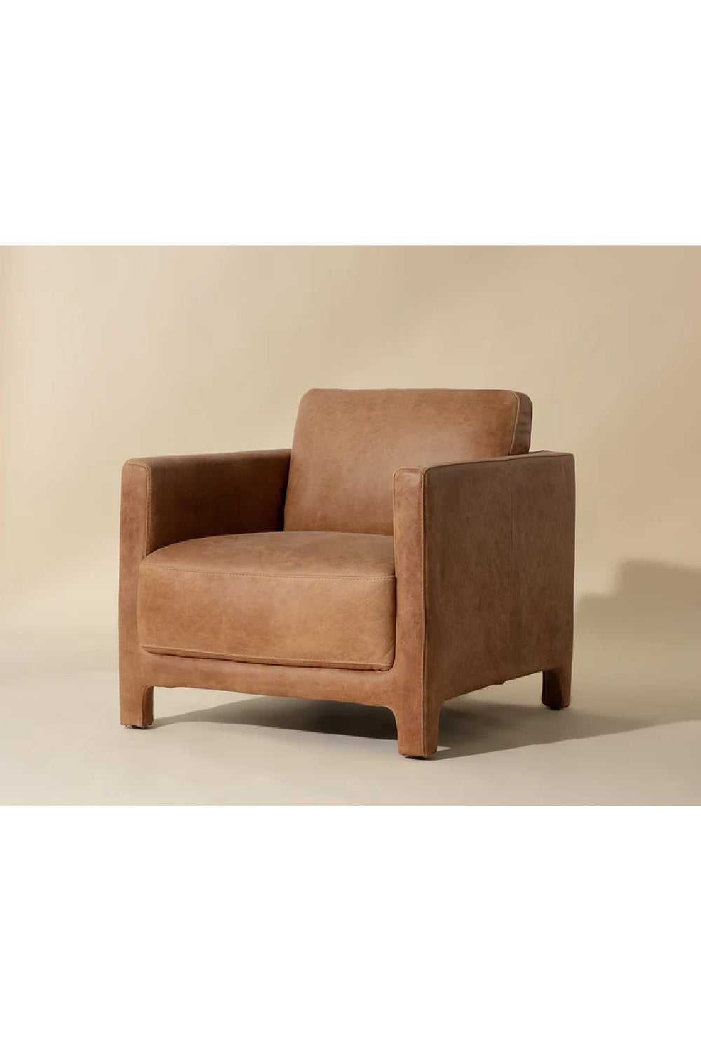 Bovine Leather Lounge Chair by Splendido Rodney Accent Chair, alternate view 8
