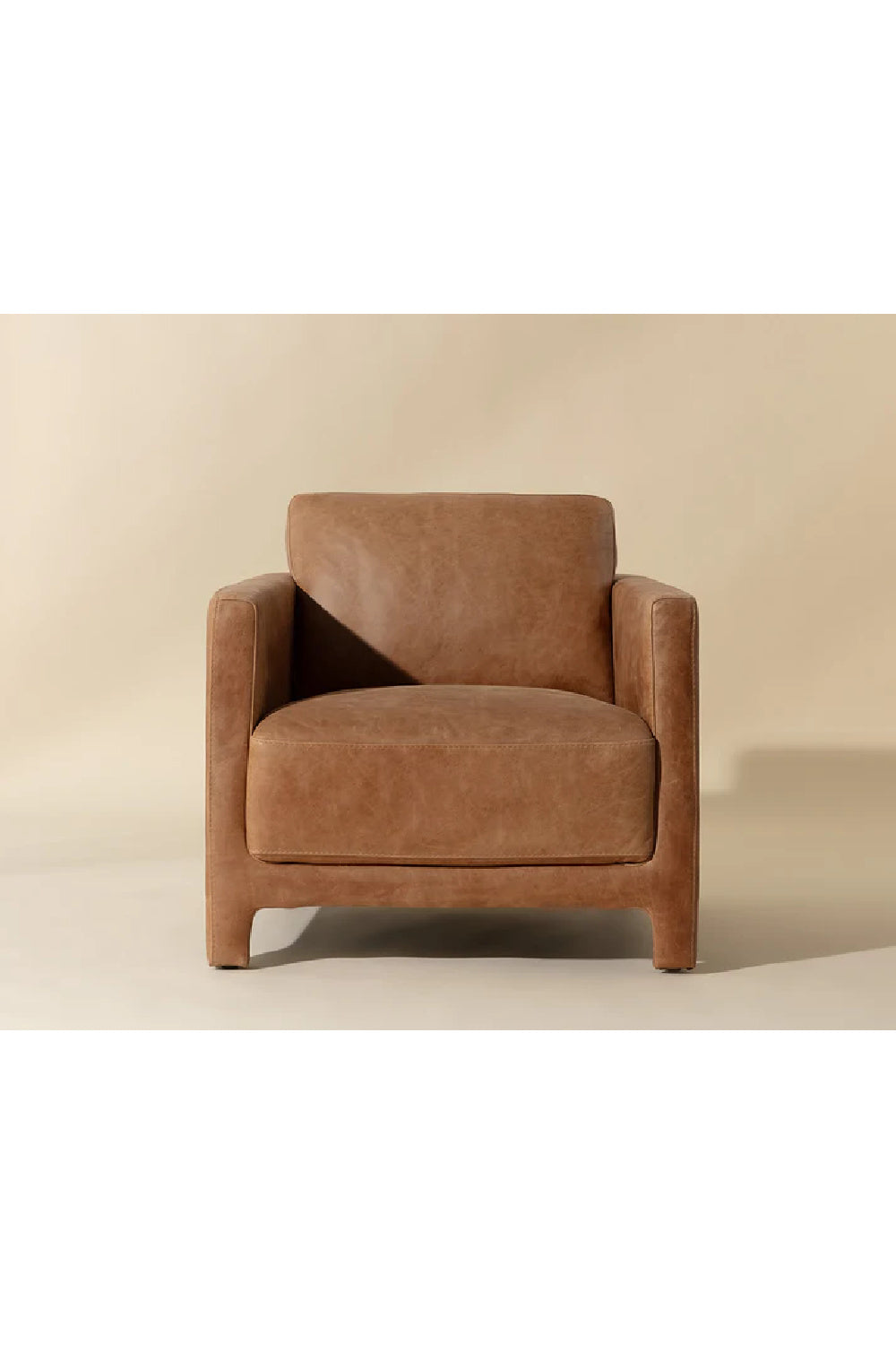 Bovine Leather Lounge Chair by Splendido Rodney Accent Chair, alternate view 9