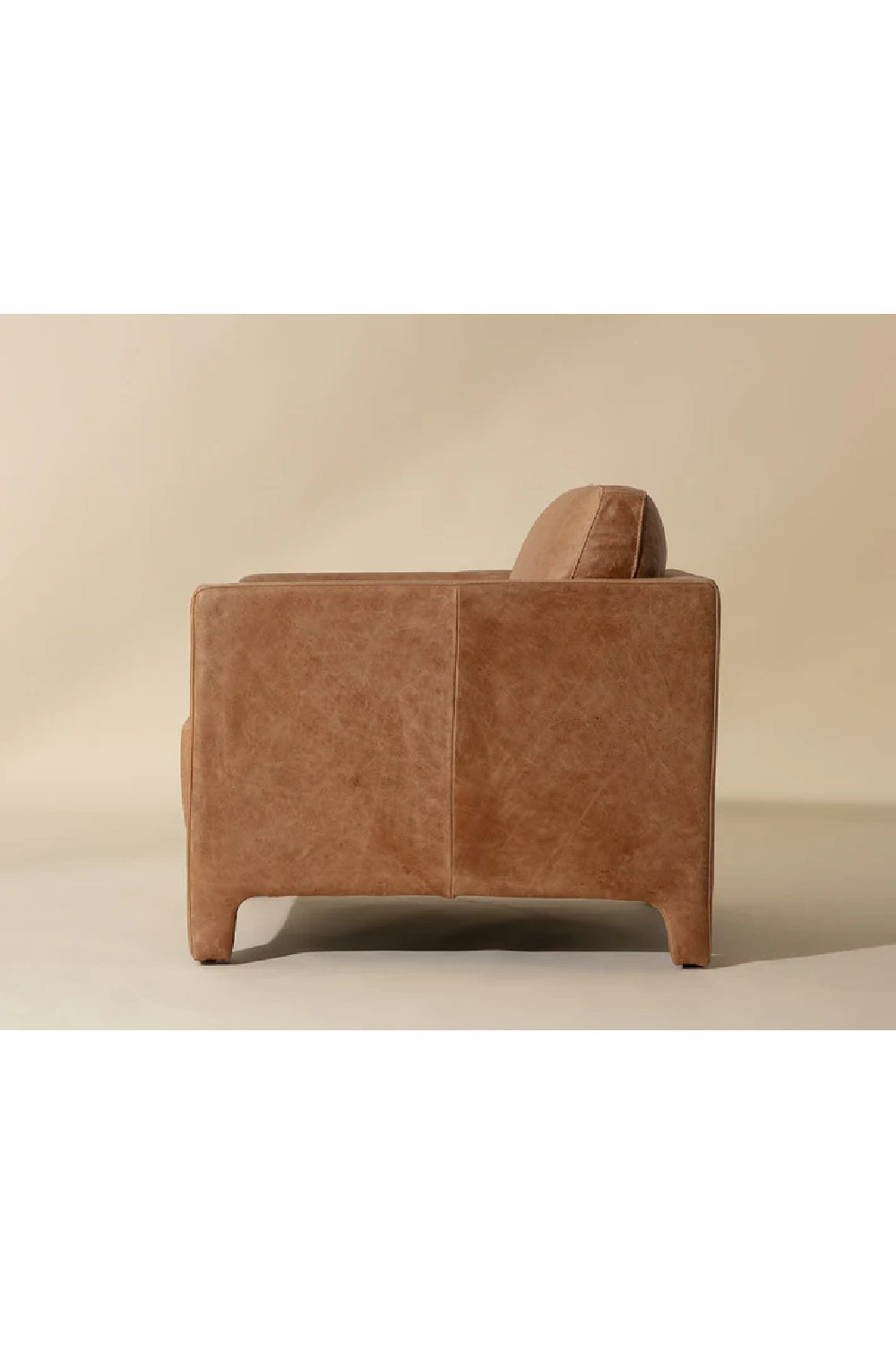 Bovine Leather Lounge Chair by Splendido Rodney Accent Chair, alternate view 10