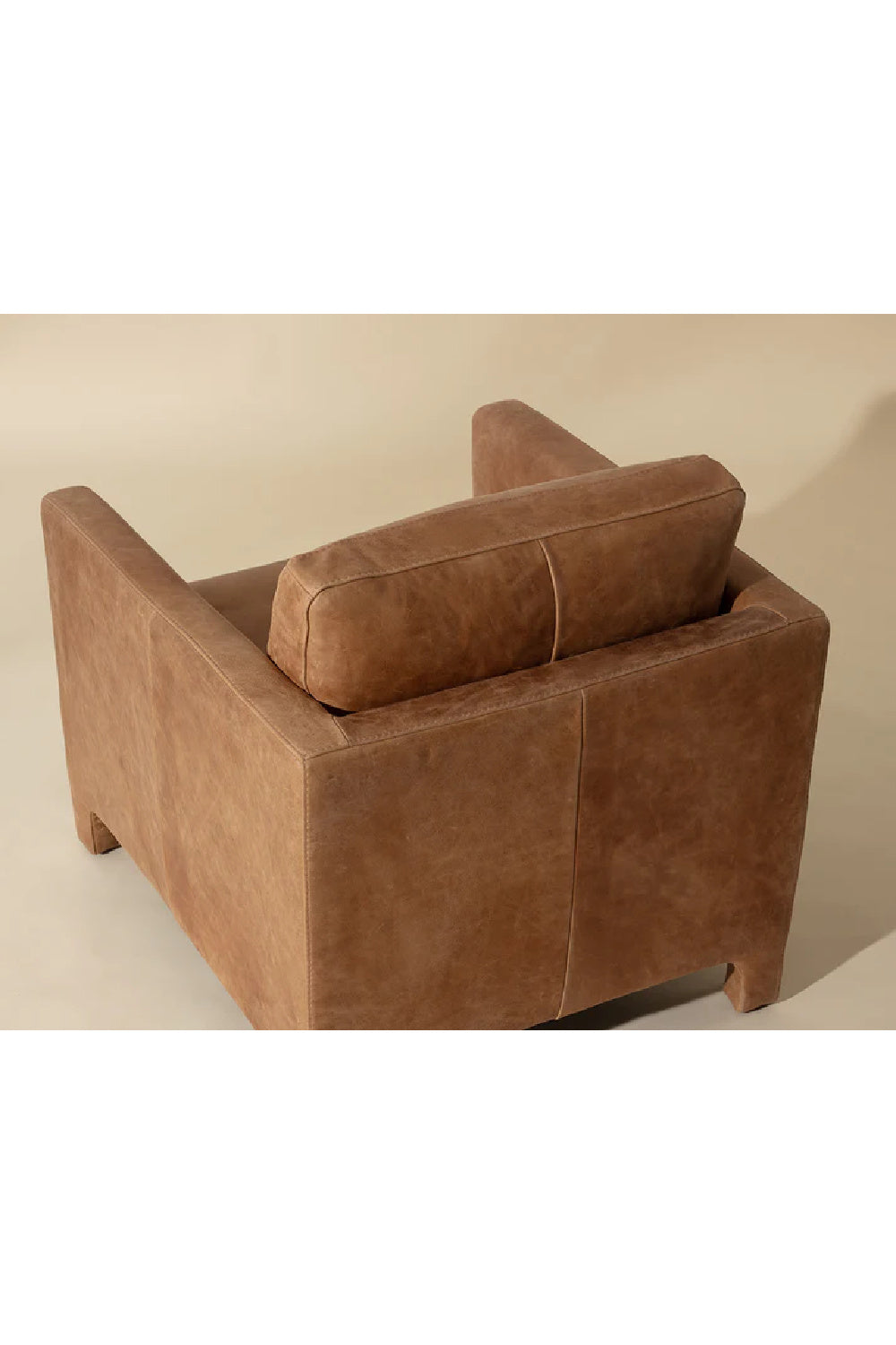 Bovine Leather Lounge Chair by Splendido Rodney Accent Chair, alternate view 12